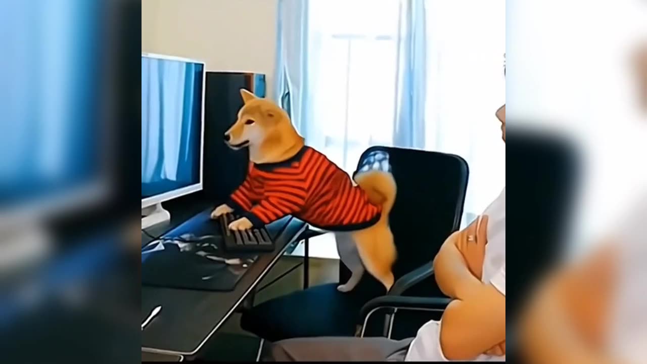 Cute dog play video games // funny cat's and dogs playing videos // shorts funny vedios