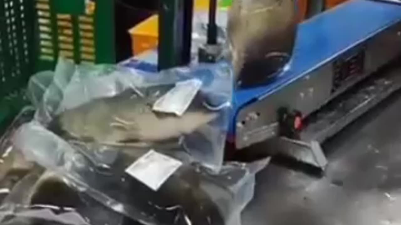 😱Transportation_Of_Fish_In_Bags_🐟#atfacts #shorts_#ytshorts