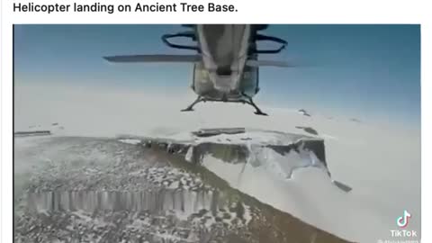 Helicopter landing on Ancient Tree Base