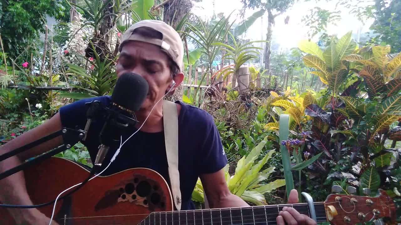 The Guitarman Cover Song, (nature background)