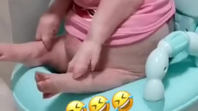 funny animal video try not to laugh LOL :) :0