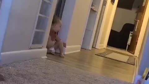 Baby Crawls Into Forbidden Territory