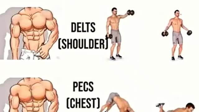 Workout