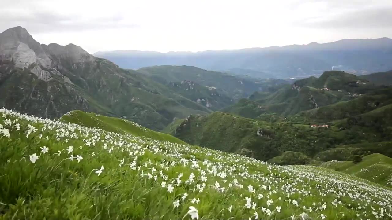 Flute Music, Relaxing Flute Music, Piano Flute Music, Calm, Study, Concentration