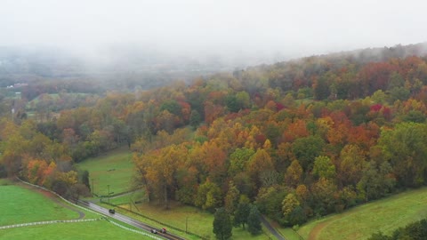 Virginia Fall Foliage