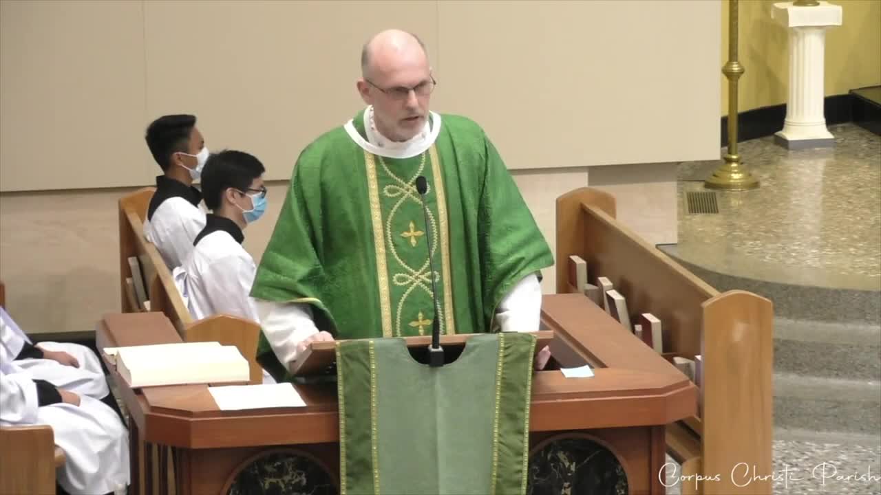 Are You a Believer or a Disciple? | Fr. Hamilton's Homily - 24th Sunday (B)