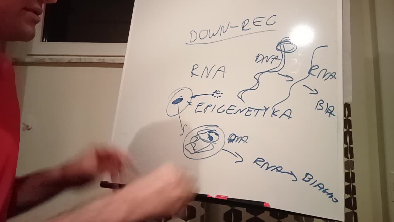 Mechanizm "Down- regulation". Dlaczego pojawia się m.in. cukrzyca