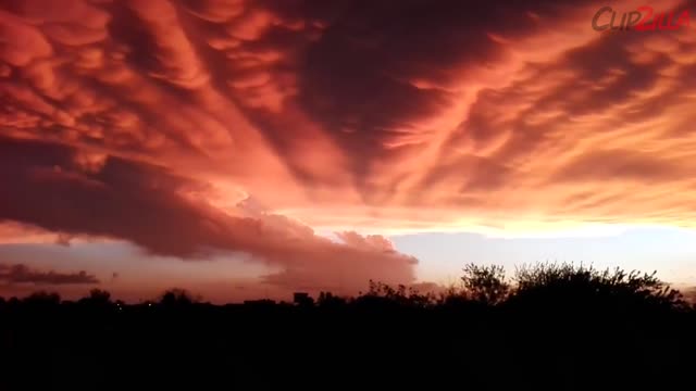 Beautiful Red Sky At Night In Buenos Aires