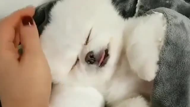 I'm going to sleep, I feel sleepy