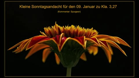 Kleine Sonntagsandacht für den 09. Januar zu Kla. 3,27