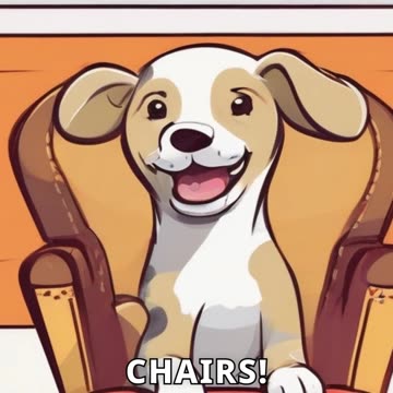 Dogs' Epic Fails Trying to Sit on Small Chairs