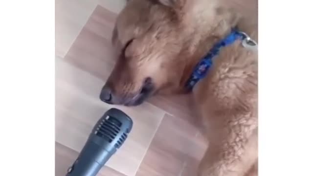 A little treat of happiness!