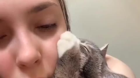 Cat Likes Earlobe