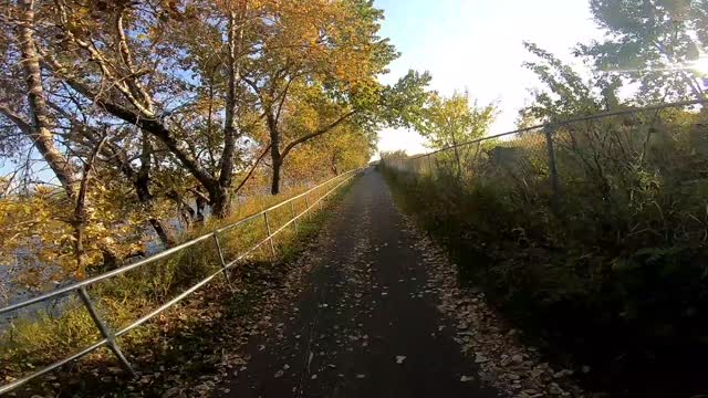 Beautiful fall walk
