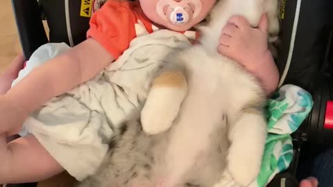 Baby and Puppy Become Good Friends