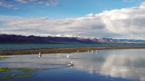 Plateau Shallow Lake