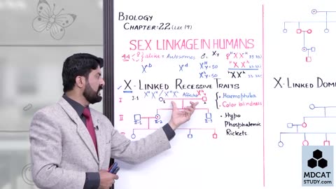 LEC#19 SEX LINKAGE IN HUMANS (PART-A)