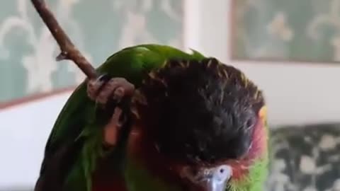 Being smart is not easy
