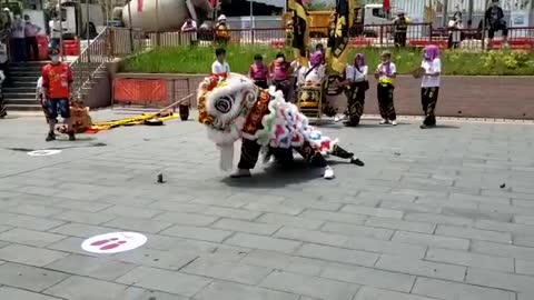 Lion Dance Perfromance