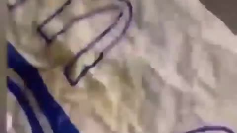 STUPID LEFTIST furios at McDonalds' blue & white packaging like Israeli flag