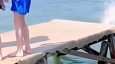 Funny Dog Videos 2024