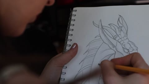 Drawing a Dragon