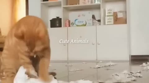 Funniest2024 Animal videos of the Day 😁😅# #cat #funny #dog part 130