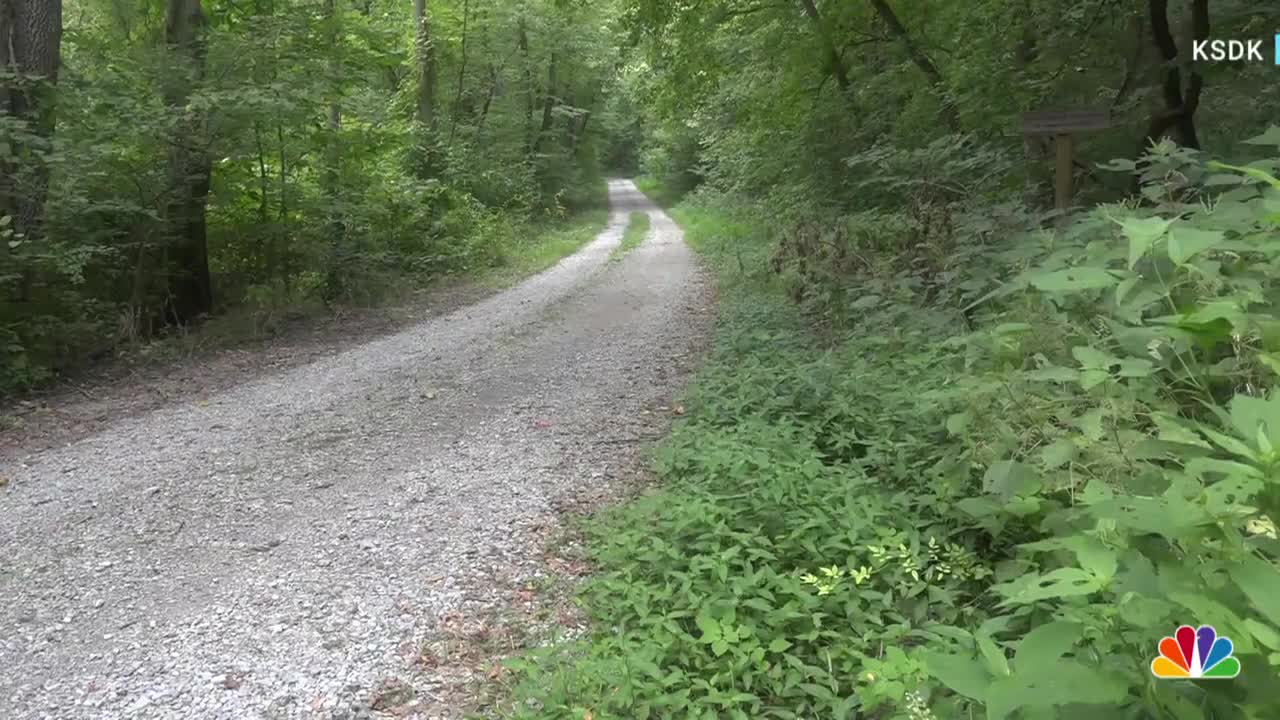 Rerouting For Reptiles: Snake Migration Stops Traffic On Illinois Road