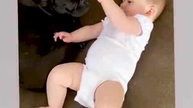 Funny dog and funny baby video.