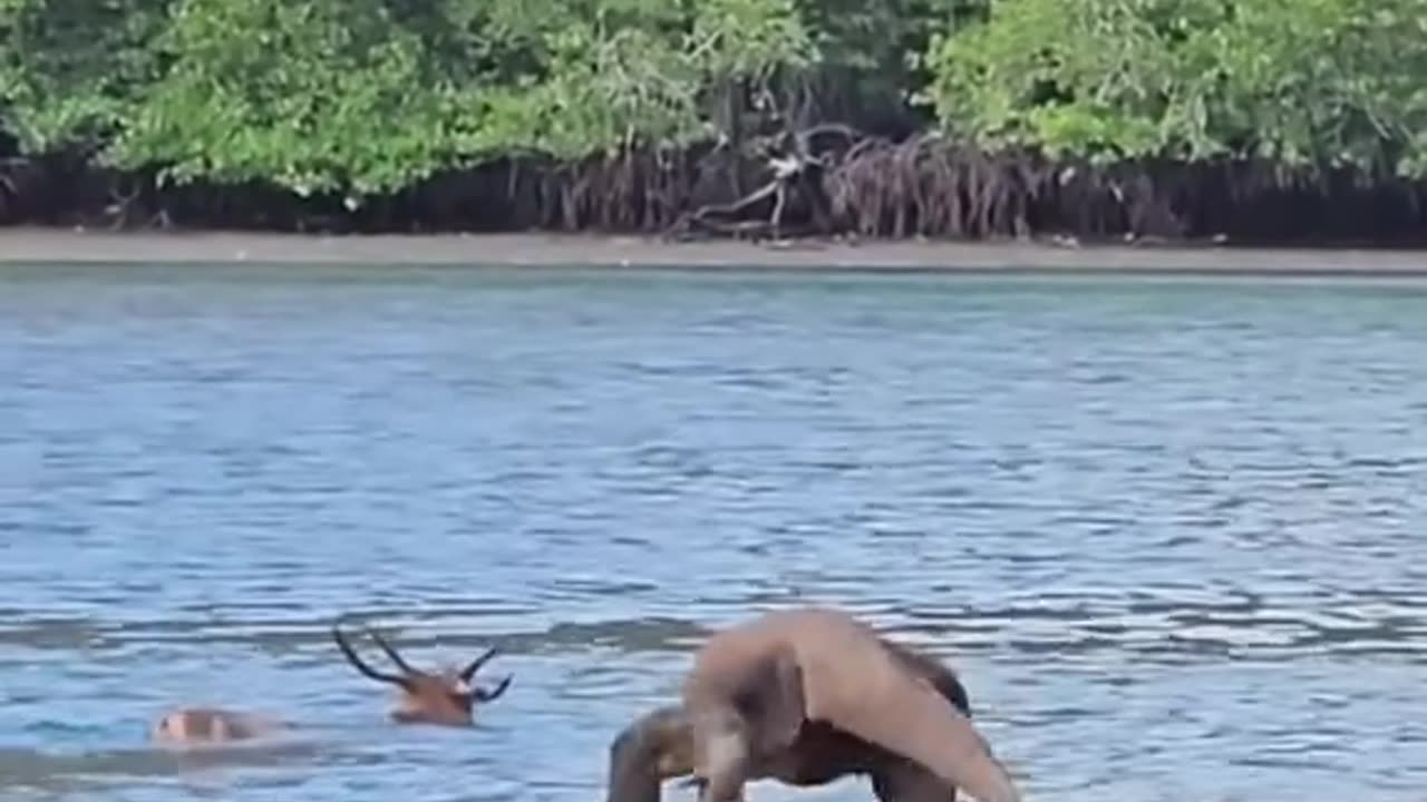 Dragon Attack