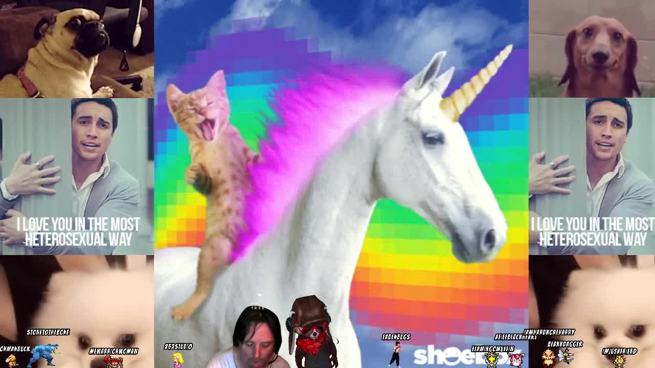 check out all the cool stuff you can do in stream #Duckception with your host IronManDuck #quackers