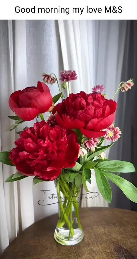 How the flowers open quickly quickly