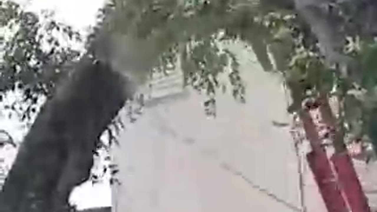 TRY NOT TO LAUGH 😆 Best Funny Videos Compilation 😂😁😆 Memes
