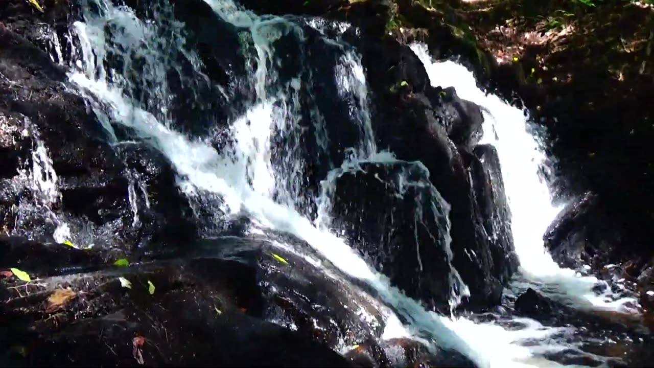 Cascades