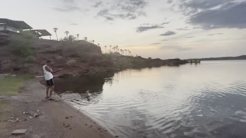 Dog Having Fun at Lake Havasu