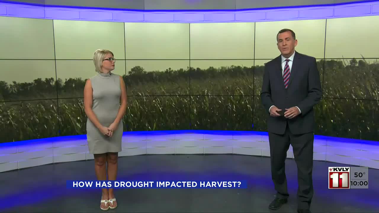 News How is the North Dakota drought impacting harvest