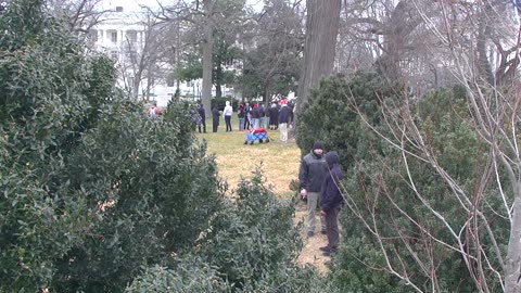 7196USCG00EastfrontSenateEggE_2021-01-06_13h55min48s710ms.mp4