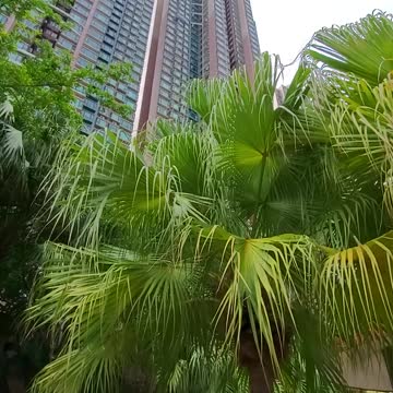 How high can we build?