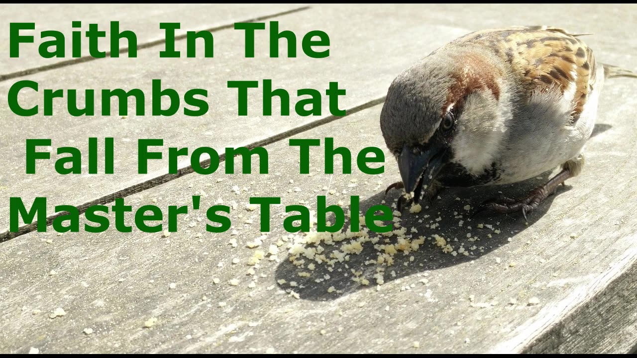 Faith In The Crumbs That Fall From The Master's Table | Pastor Robby Dickerson