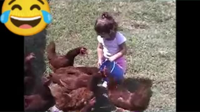 Funny Roosters and chickens 🐔🐔