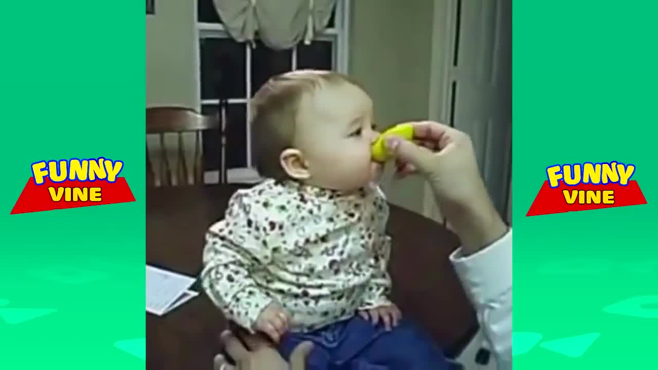 Babies Eating Lemons for The First Time Comp