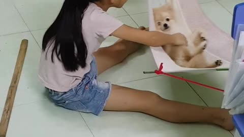 Little girl swaying hammock helps the little dog sleep well