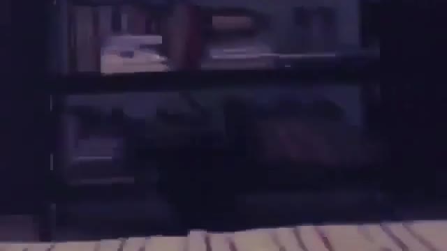 A lively black cat