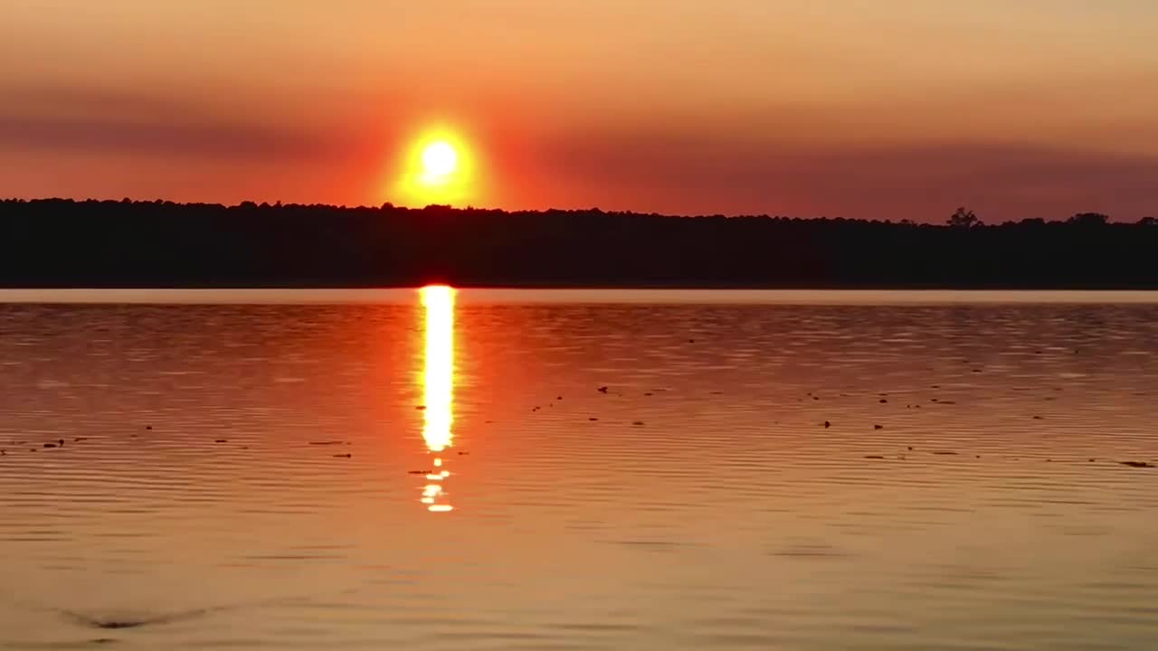 Bayou Sunset