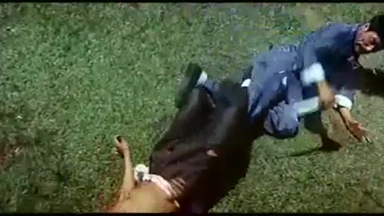 Bruce Lee Fight Scenes