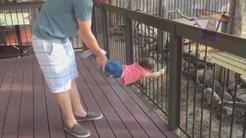 FORGET CATS! Funny KIDS vs ZOO ANIMALS are WAY FUNNIER!