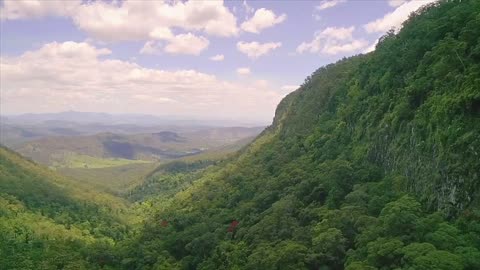 There are trees and branches in the mountains