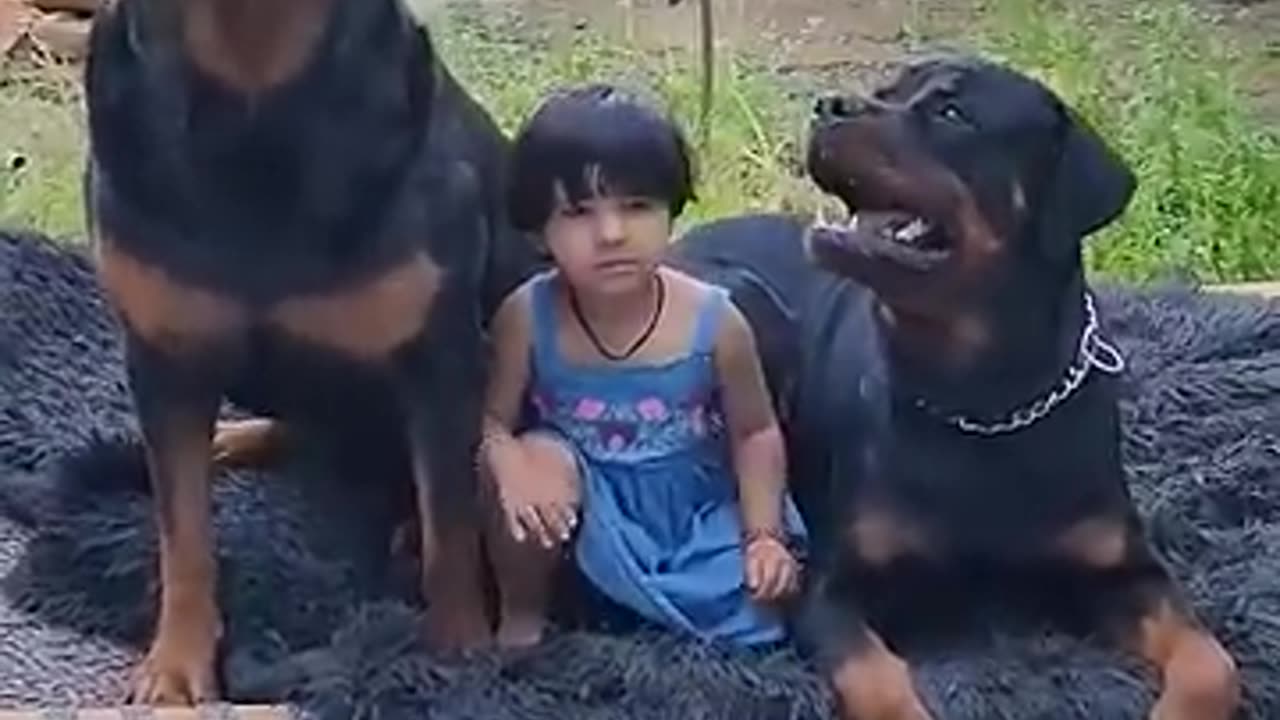 Rottweiler with baby DONT MESS WITH MY BABY