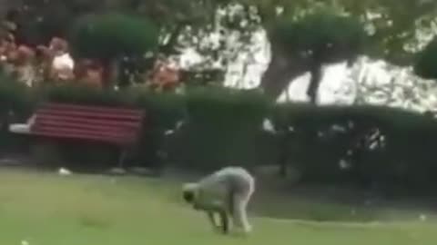 funny video series2