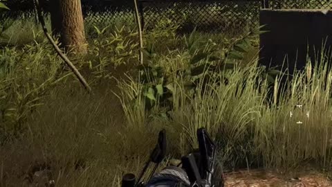 Tom Clancy Ghost Recon Wildlands shorts